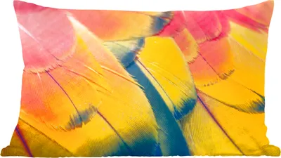 Produktbild von MuchoWow® Zierkissen Sofakissen Wohnzimmer Dekokissen 60x40 cm Gefiederstruktur eines Papageis - Kopfkissen - Polster mit Foto