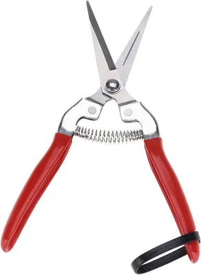 Produktbild von Famanu Gartenschneider Professionelle Hand-Schneider - Gerade/Gebogene Klingen