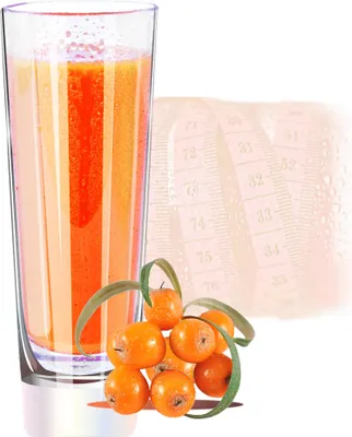 Productafbeelding van Sandthorn Vegan Proteïne Proteïne Poeder Suikervrij 200 g