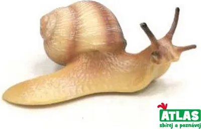 Immagine prodotto di A - Figurina Lumaca Striata 9 Cm