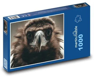 Produktbild von Puzzle 1000 Geier - majestätischer Raubvogel - martinpuzzle