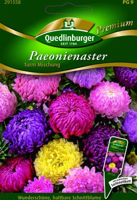 Produktbild von Paeonien-Astern Turm Mischung | Asternsamen von Quedlinburger