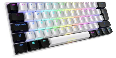 Produktbild von Sharkoon SGK50 S4, 60%, Kabelgebunden, USB, QWERTY, RGB-LED, Weiß