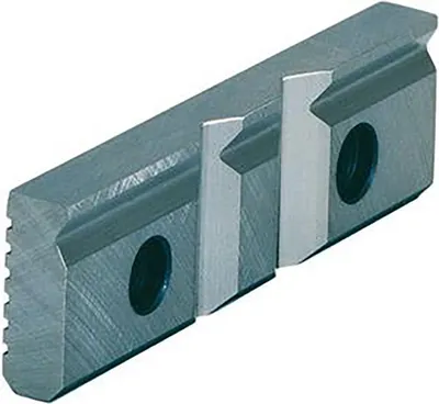 Obrázek produktu pro Prismatická čelist SPR 160 mm Röhm | 4019208019215