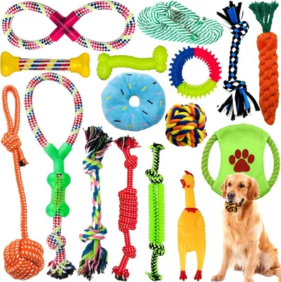 Imagen del producto de Juego de juguetes para perros, de 16 piezas, ideal para perros pequeños y medianos, incluye juguetes para masticar y para entrenamiento