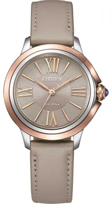 Image de Citizen Mod. Em1166-01Z