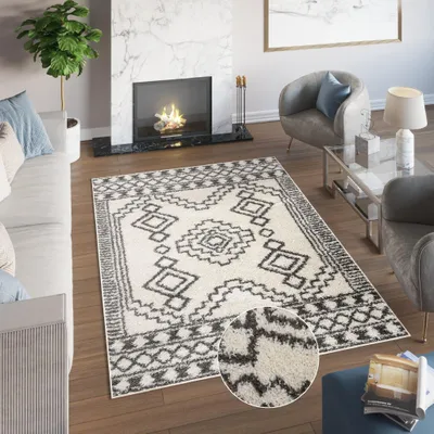 Produktbild von Teppich Wohnzimmer Schlafzimmer Modern Design Shaggy Hochflor Langflor Grau 160 x 220 cm