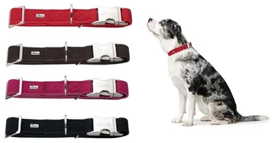 Produktbild von Hunter Halsband Softie Alu-Strong