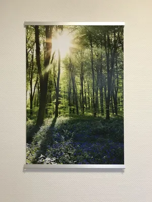 Produktbild von Wanted, The - Poster - Schwarz und Weiß + 2 St Posterleisten Alu 93,5 cm