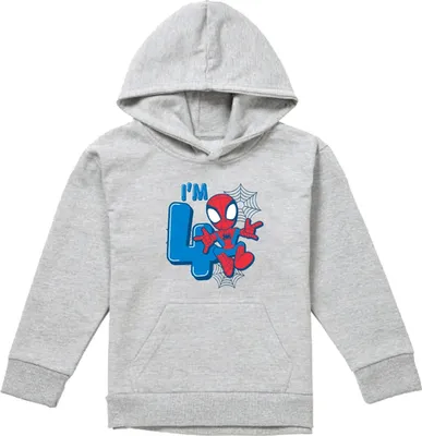 Produktbild von Spider-Man - Kapuzenpullover für Kinder, Zum Überziehen, meliert, 4. Geburtstag TV22768 (152-158) (Sportliches Heather)