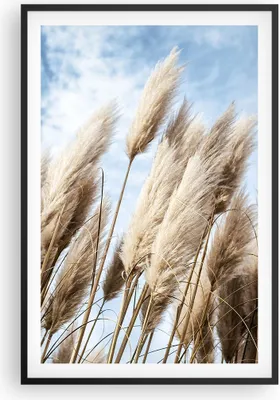 Produktbild von Gerahmtes Poster - Schwarzer Rahmen - Stock Himmel Boho - 61x91,5 cm - Wand Bild - Wanddeko - Wandbilder - Kunstposter - Wandposter - Bilderrahmen - Bilder - Kunstdruck - P2BPA61x91-4426