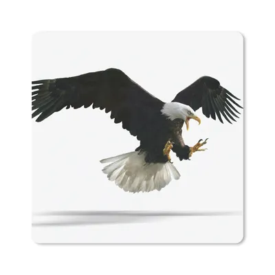 Produktbild von MuchoWow® Mauspad Mousepad Adler - Vogel - Weiß 20x20 cm - Mousepads - Maus Mat - Pad - Mausunterlage - Desk Mat - Bureauartikeln