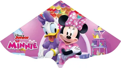 Produktbild von Einleinerdrachen Minnie 4001664911868