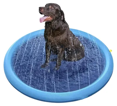 Produktbild von Hundebadestelle für Wasserspiele im Sommer