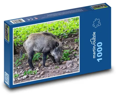 Zdjęcie produktu dla Puzzle 1000 Dzik w lesie - martinpuzzle