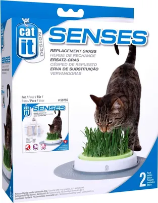 Zdjęcie produktu dla Trawa dla kota Catit Grass Garden Kit, do uzupełnienia CH-7551, 2szt.