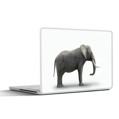 Produktbild von MuchoWow® Laptop Aufkleber Sticker Cover Elefant auf weißem Hintergrund 30x22 cm - Laptop-Sticker