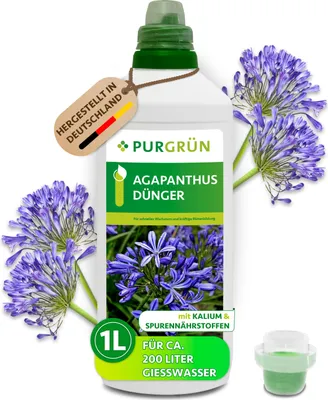 Produktbild von Purgrün Agapanthus Dünger | Flüssigdünger für Blütenpracht | 1L
