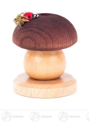 Produktbild von Räucherpilz Braunkappe mit Käfer