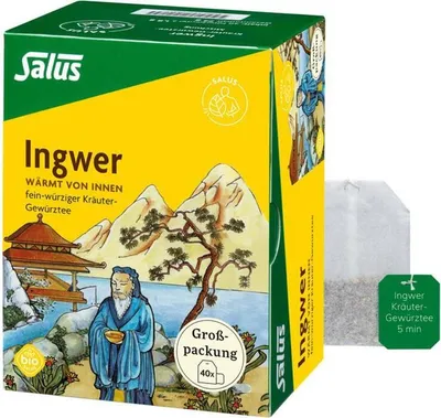 Obrázok produktu pre Salus Zázvorovo-korenistá čajová zmes 40FB