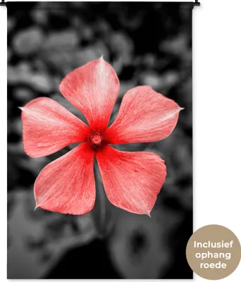 Produktbild von MuchoWow® Wandteppich Wandbehang Blumen - Rot - Schwarz - Weiß 120x180 cm Tapisserie Dekoration Wandtuch - Schlafzimmer - Dekorationen für das Haus