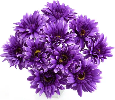 Produktbild von 10 künstliche Gerbera-Blumen, lila, für Heim-, Hochzeits- und Partydekoration