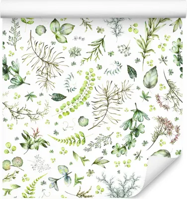 Produktbild von 10m VLIES TAPETE Rolle Wohnzimmer Pflanzen Natur Blätter Flora Aquarell XXL