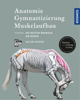 Obrázok produktu pre Anatomie, Gymnastizierung, Muskelaufbau