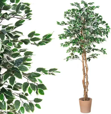 Zdjęcie produktu dla PLANTASIA Sztuczne drzewo figowe, 190 cm