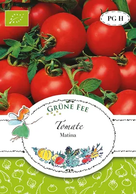 Artikelbild 1 von 'BIO Tomate frühreif' aus der Kategorie Stabtomatensamen