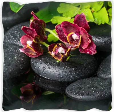 Produktbild von Wallario Premium Kissen, weiche Oberfläche, mit Motiv Dunkelrote Orchideen-Blüte auf schwarzen Steinen mit Regentropfen, Größe: 30 x 30 cm, mit weißer Rückseite