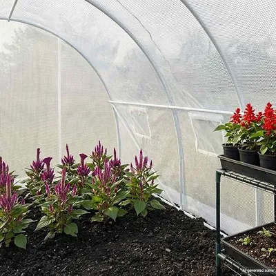 Imagen del producto de Invernadero de 9 metros cuadrados, 300 x 300 x 200 cm, estructura de acero galvanizado y cubierta de tela de polietileno de 170 g/m². Incluye 4 ventanas y una puerta, ideal para cultivar tomates, verduras y para la siembra en el jardín