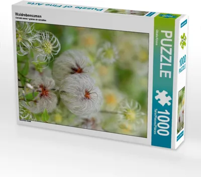 Produktbild von Calvendo Waldrebensamen 1000 Teile Puzzle hoch 480x640mm, Kruse Gisela; 7430920