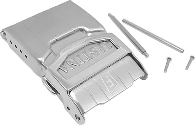 Produktbild von Festina > Chronograph Fatschließe 21mm Edelstahl silberfarben > F16881
