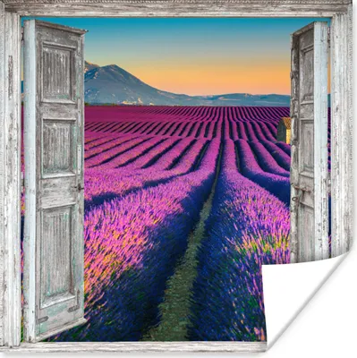Produktbild von MuchoWow® Poster Lavendel - Sommer - Ausblick - Blumen 50x50 cm - Wohnzimmerdekoration