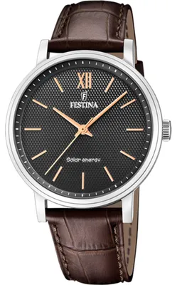Obrázok produktu pre Hodinky Festina F20660-6 brown