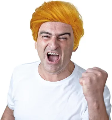 Produktbild von Perücke für Männer, synthetisch, mit Pony, blond, für Halloween