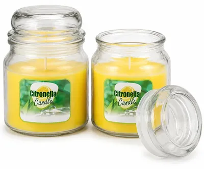 Produktbild von Citronella Duftkerze - 2er-Set – Hält Mücken fern – Glas mit Deckel – 2 x 750 g – 350 g Wachs – Brenndauer 65–70 Stunden – Gartenkerzen