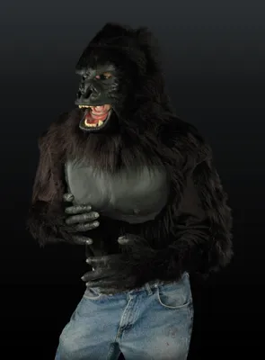 A person wearing a gorilla costume torso and jeans against a black background.