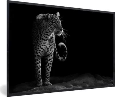Produktbild von MuchoWow® MuchoWow® Gerahmtes Poster Leopard - Schwarz - Weiß 60x40 cm - Poster mit zchwarzem Bilderrahmen - Printing - Wanddeko Schlafzimmer