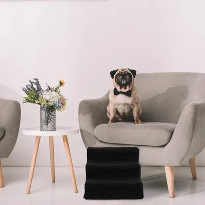 Produktbild von Hundetrapp - Hundetrappchen Für Hunde - Hundelaufstieg