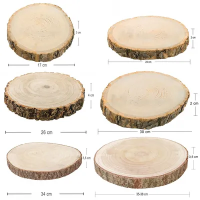 Baumscheiben-Set Holzscheiben 6 Stück 17-38 cm Deko Tisch-Deko DIY Basteln Geburtstag Advent Jahreszeiten Ostern Holzscheibe Holzstamm Dekoration