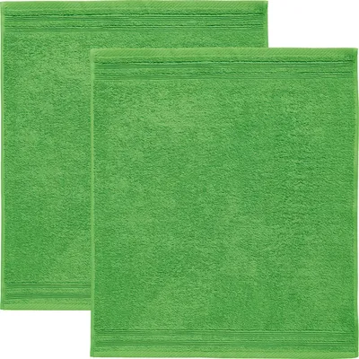 Produktbild von Erwin Müller Frottier-Geschirrtuch 2er-Pack apfelgrün 50x50 cm