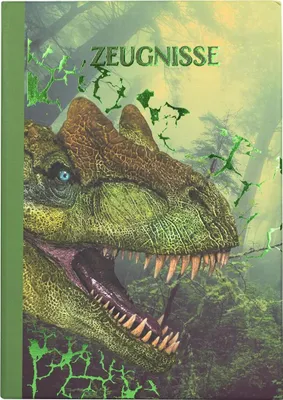 Produktbild von Idena Zeugnismappe Dino 12 Hüllen DIN A4