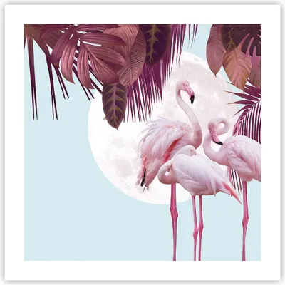 Produktbild von Poster - Poster ohne Rahmen - Flamingos Palmen Mond - 50x50 cm - Wand Bild - Wanddeko - Wandbilder - Kunstposter - Wandposter - Bilder - Kunstdruck - Wanddekoration - Wandbild - P2XAC50x50-4598