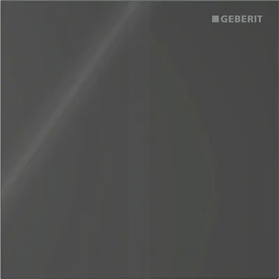 Produktbild von GEBERIT 246121SJ1 Typ 40 Abdeckplatte für UR-Strg. IR