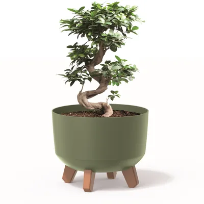 Produktbild von Blumentopf mit Füßen Pflanzkübel D 24 cm Kunststoff Grün Töpfe mit Einsatz matt Übertöpfe Geldbaum Kakteen Gummibaum Glücksfeder