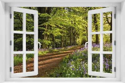 Produktbild von Wallario Poster mit Fenster-Illusion: Blaues Hasenglöckchen im Sommerwald, Größe: 100 x 150 cm