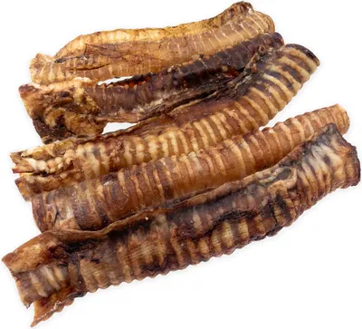 Image de Trachée de bœuf 30cm 4DOGS - 5 pcs