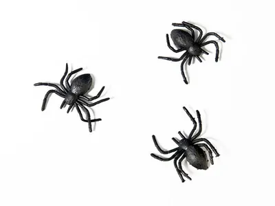 Produktbild von Spinnen Deko 3x3cm 10 Stück Schwarz